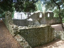 Бриуны! А что это за штучка....