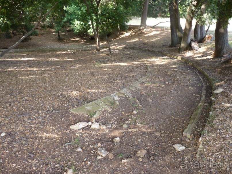 Бриуны! А что это за штучка....