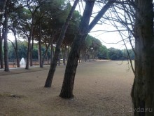 Бриуны! А что это за штучка....