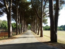 Бриуны! А что это за штучка....