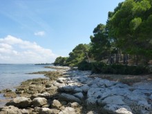 Бриуны! А что это за штучка....