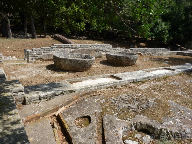 Бриуны! А что это за штучка....