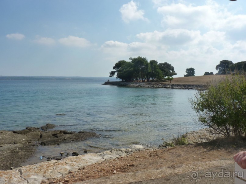 Бриуны! А что это за штучка....