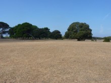 Бриуны! А что это за штучка....