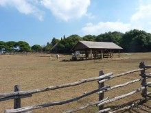 Бриуны! А что это за штучка....