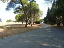 Бриуны! А что это за штучка....