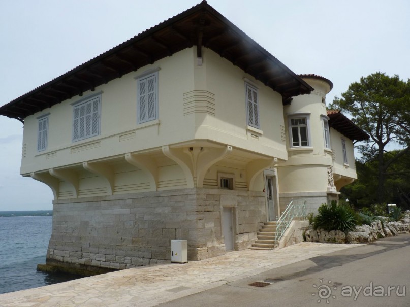 Бриуны! А что это за штучка....