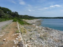 Бриуны! А что это за штучка....