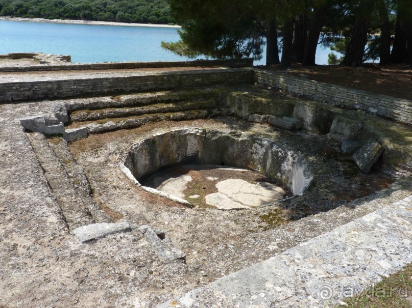 Бриуны! А что это за штучка....