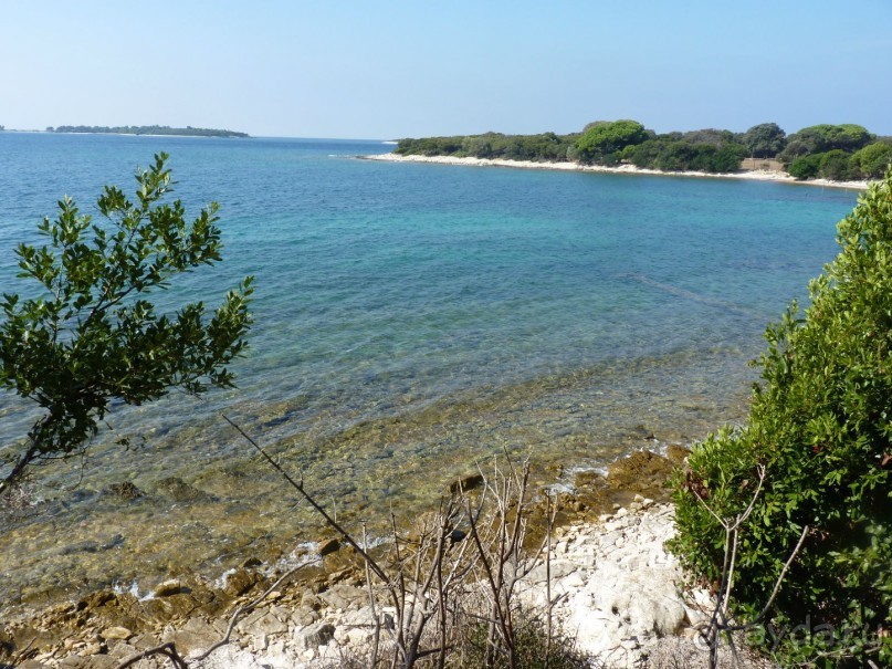 Бриуны! А что это за штучка....