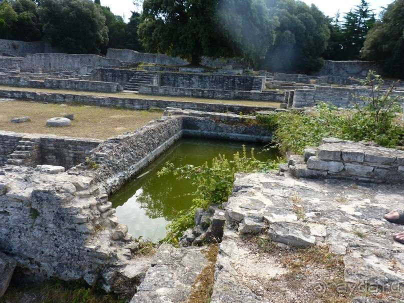 Бриуны! А что это за штучка....