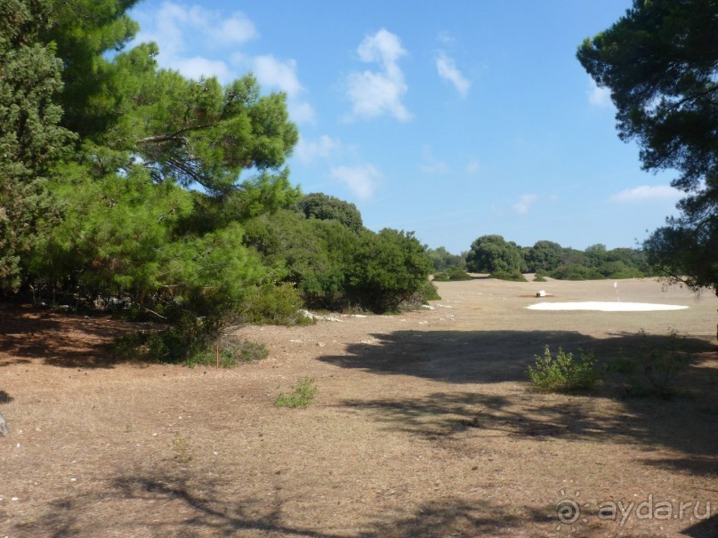 Бриуны! А что это за штучка....