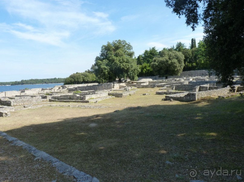 Бриуны! А что это за штучка....