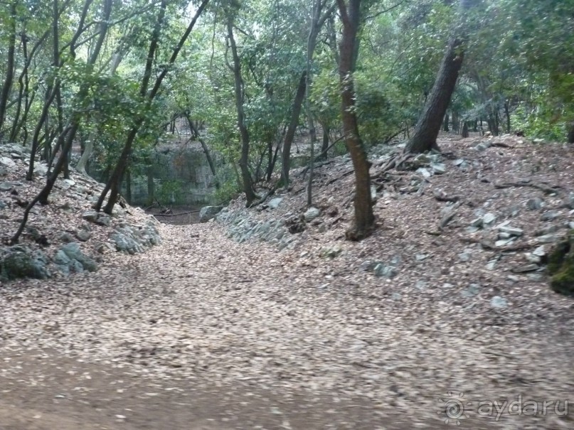 Бриуны! А что это за штучка....