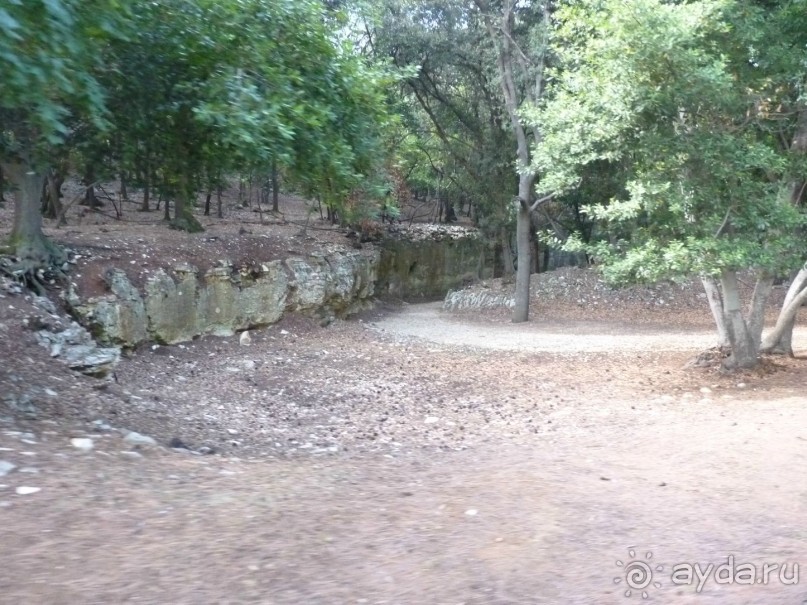 Бриуны! А что это за штучка....