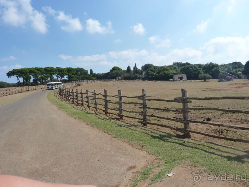 Бриуны! А что это за штучка....