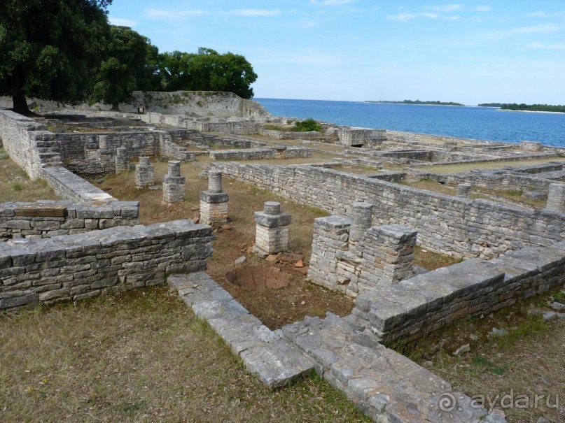 Бриуны! А что это за штучка....