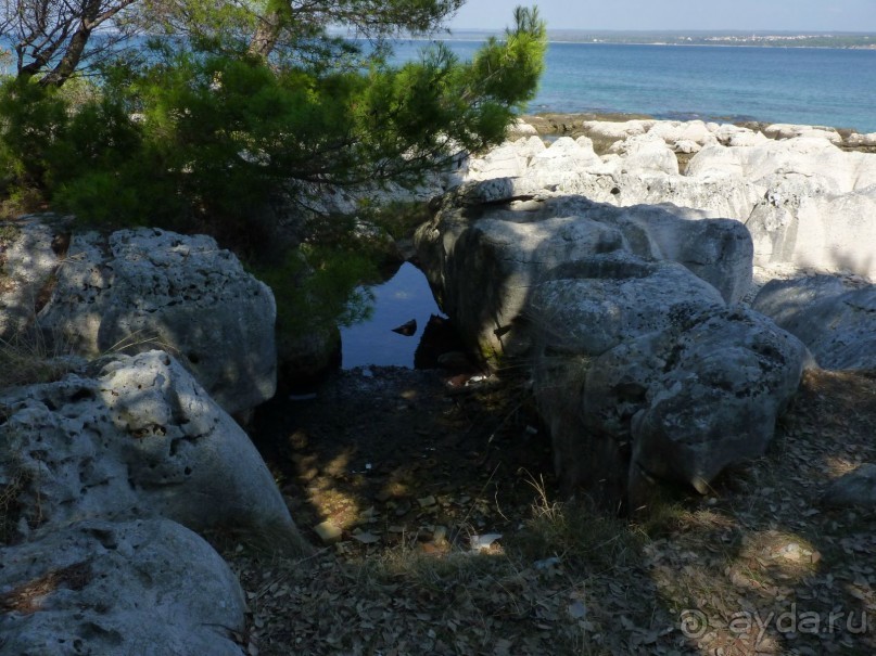 Бриуны! А что это за штучка....