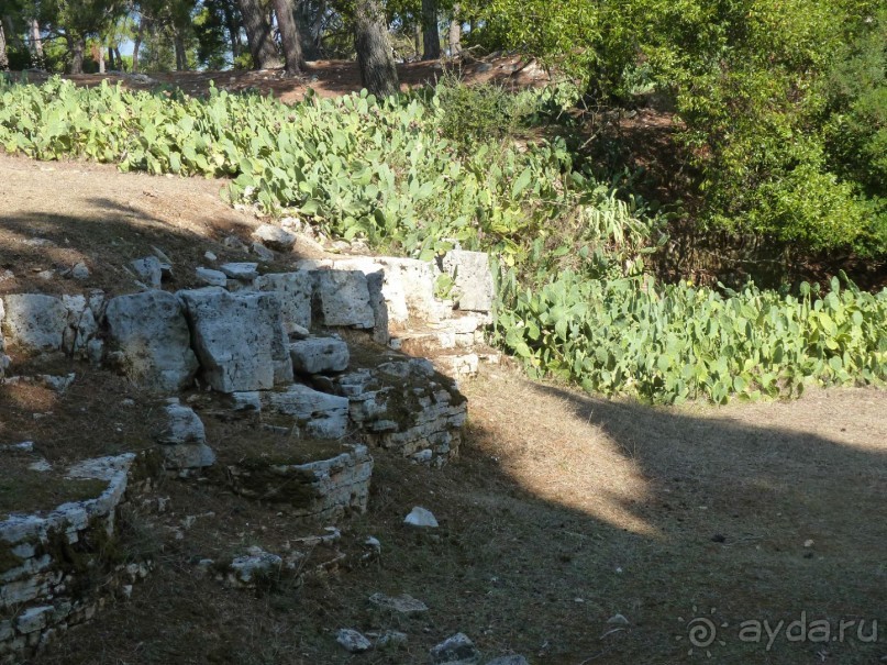 Бриуны! А что это за штучка....