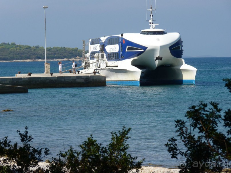 Бриуны! А что это за штучка....