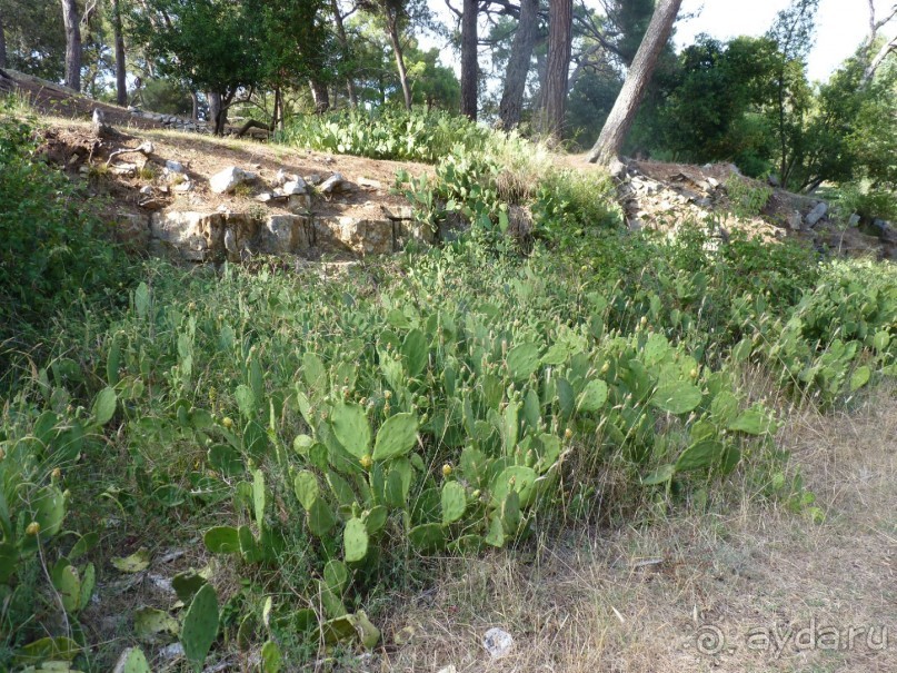 Бриуны! А что это за штучка....