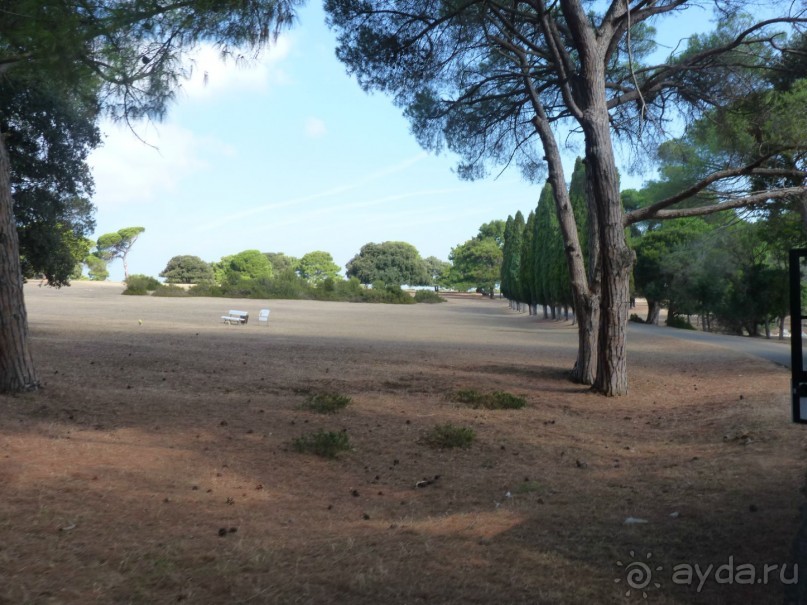 Бриуны! А что это за штучка....