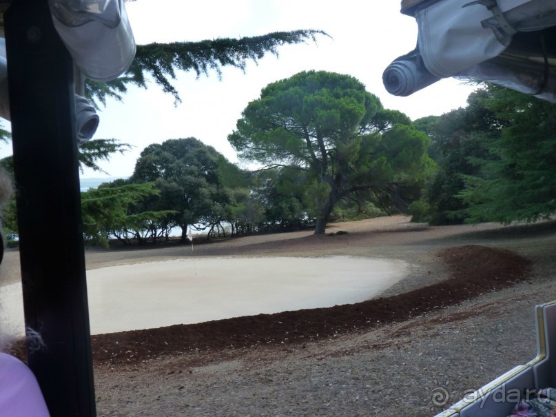 Бриуны! А что это за штучка....