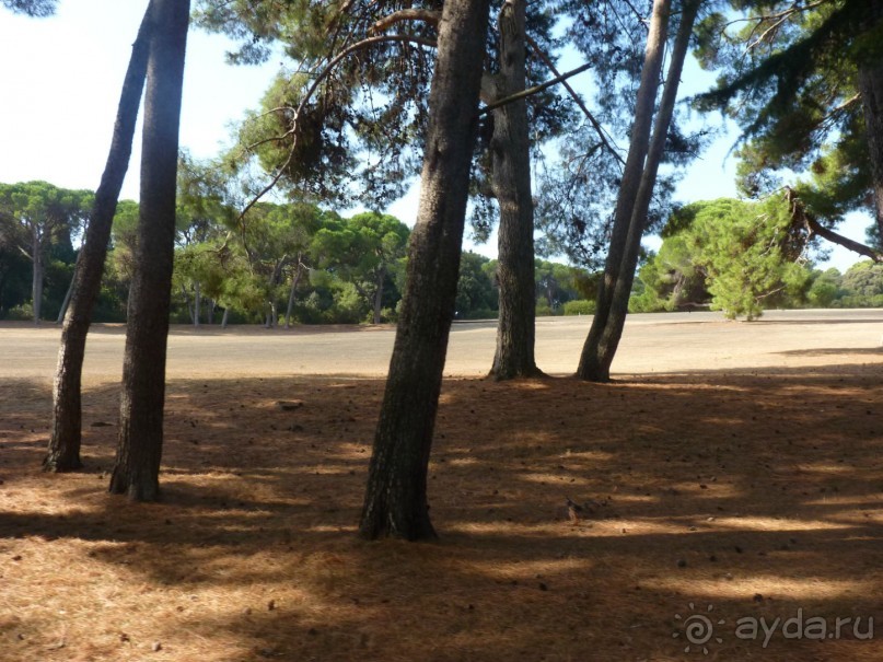 Бриуны! А что это за штучка....