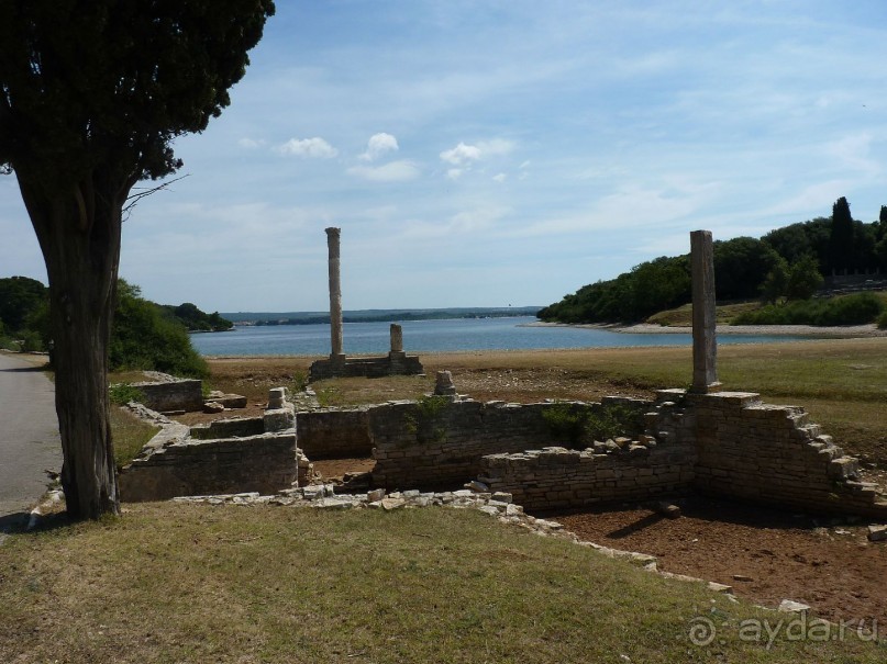 Бриуны! А что это за штучка....