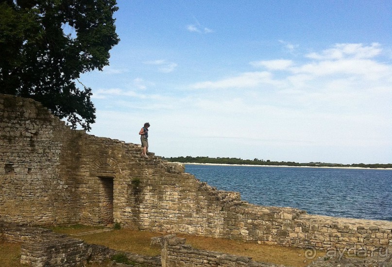 Бриуны! А что это за штучка....