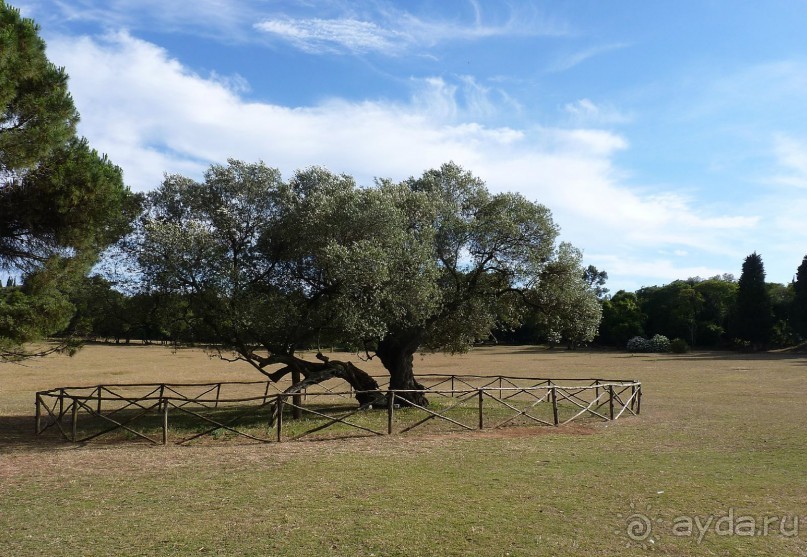 Бриуны! А что это за штучка....