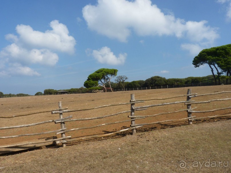 Бриуны! А что это за штучка....