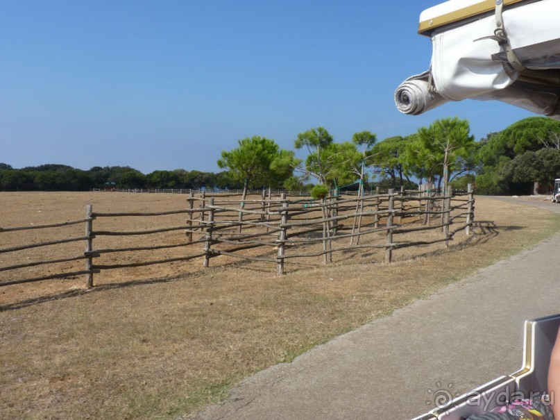 Бриуны! А что это за штучка....