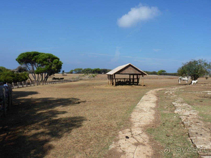 Бриуны! А что это за штучка....