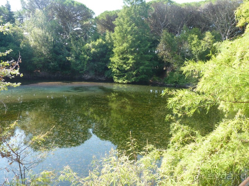 Бриуны! А что это за штучка....