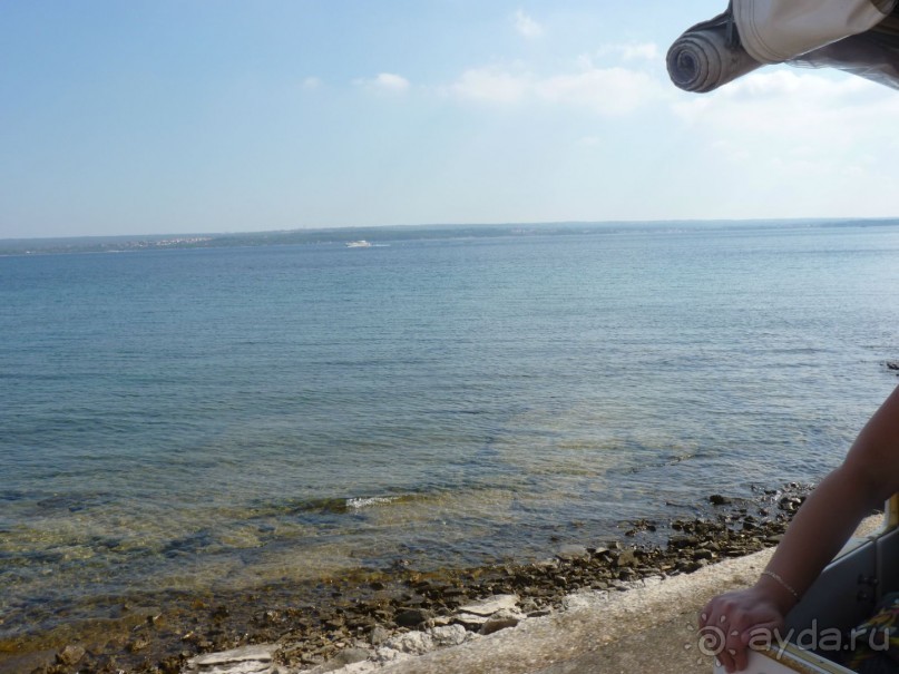 Бриуны! А что это за штучка....