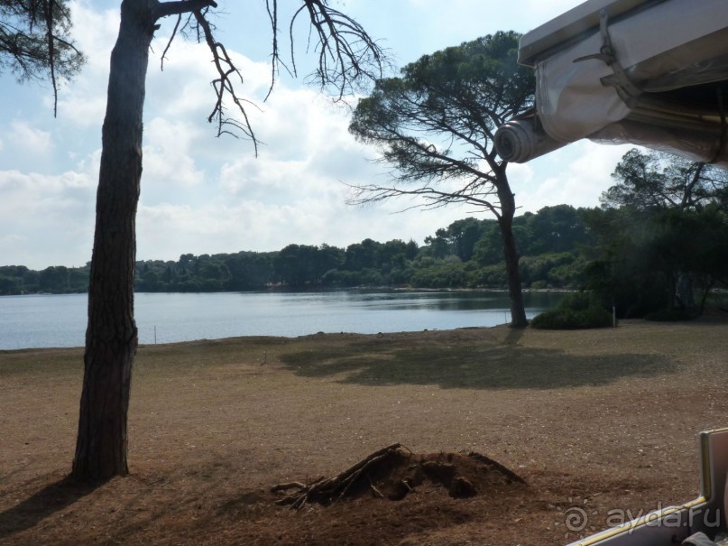 Бриуны! А что это за штучка....