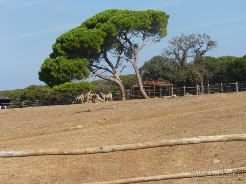 Бриуны! А что это за штучка....