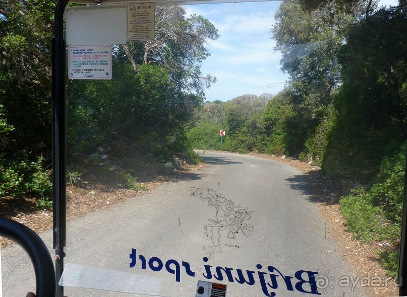 Бриуны! А что это за штучка....