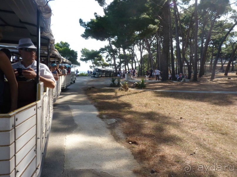 Бриуны! А что это за штучка....