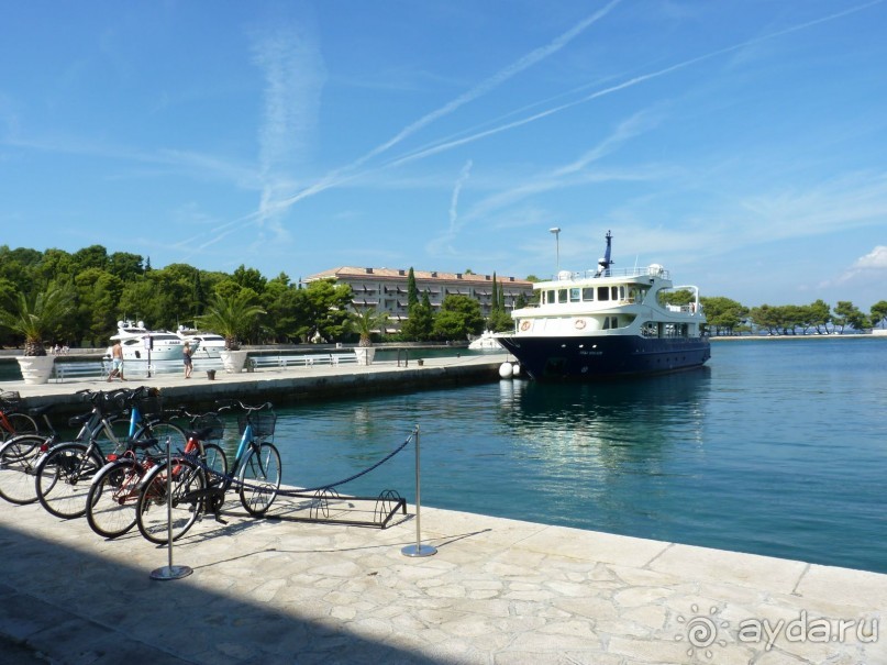 Бриуны! А что это за штучка....