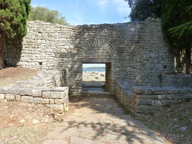 Бриуны! А что это за штучка....