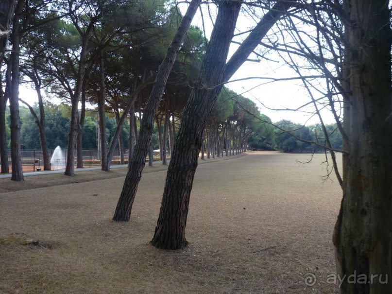 Бриуны! А что это за штучка....