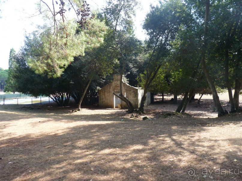 Бриуны! А что это за штучка....