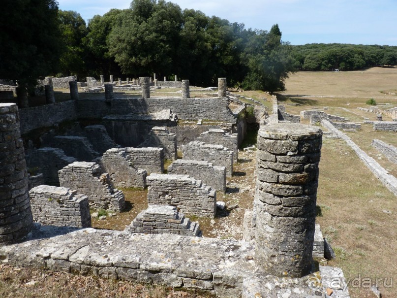 Бриуны! А что это за штучка....