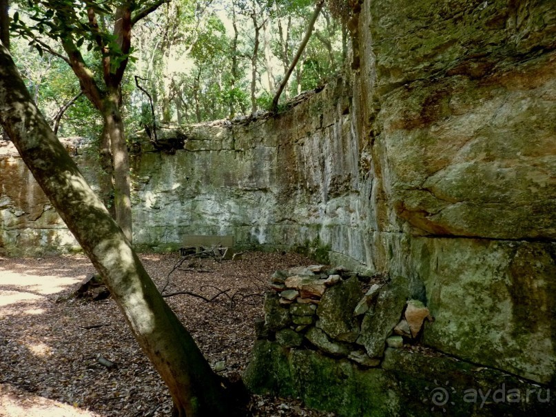 Бриуны! А что это за штучка....