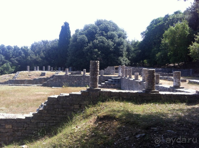 Бриуны! А что это за штучка....