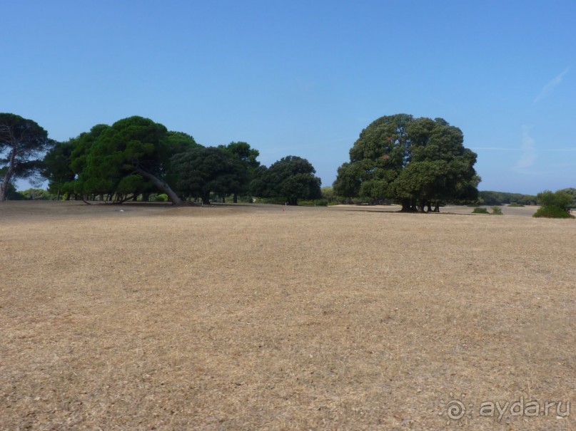 Бриуны! А что это за штучка....