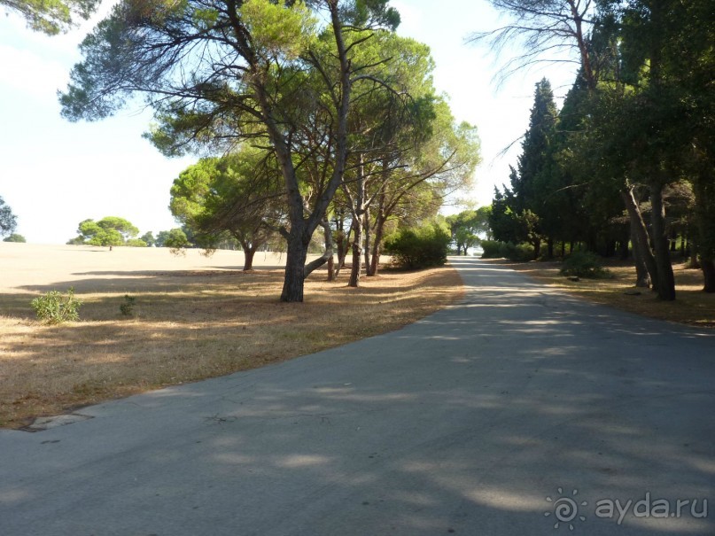 Бриуны! А что это за штучка....