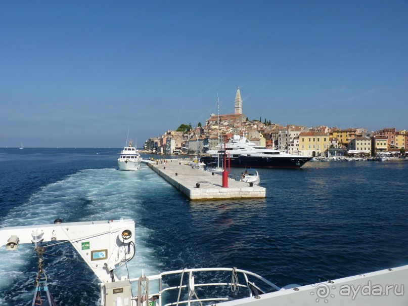 Бриуны! А что это за штучка....